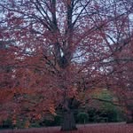 Nicole Peeters - @nic6228 - Instagram