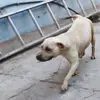 Fernanda Nicole Pelc - @fernandanicolepelcastre1 - TikTok