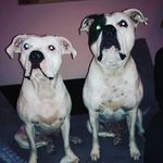 Nicole Pelzer - @thomas.u.nicole - Instagram