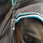 Nicole Petrelli- - @nicolepetrell.horseaccount - Instagram