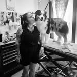 Nicole Pio - @pawfectionbynicole - Instagram