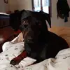Nicole Pirovano - @nicole.pirovano - TikTok