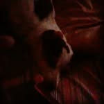cody poor - @nicole.poor - Instagram