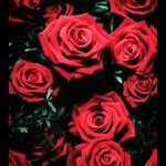 Nicole - @nicoleprimo1999 - Instagram