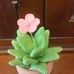 Nicoletta Pucci - Facebook
