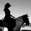 ♡Nicky♡ - @nicoleraab87 - TikTok