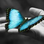 Nicole Raab - Facebook