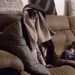 Nicole Aldinger - @nicoleream2023 - Instagram