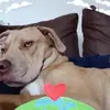 Nicky Redfern - @nicky.redfern8 - TikTok