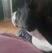 Nicole Redfern - Facebook