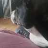 nicoleredfern787 - @nicoleredfern787 - TikTok