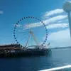 Nicole Rendon - @nicole.rendon60 - TikTok
