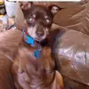 Nicole Risner - @nicole.risner - TikTok