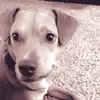 Nicole Roca - @nicoleroca00 - TikTok