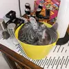 nicoleroot69 - @nicoleroot69 - TikTok