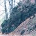 Nicole Rountree - Facebook
