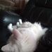Nicole Roussel - Facebook