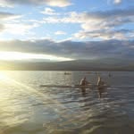 nicole samuelson - @logbook_ns - Instagram