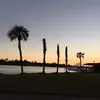 nicolescheer - @nicolescheer - TikTok