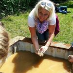 Nicole Schmidt-Schimpf - @schmidtschimpf - Instagram