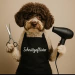 Nicole Schüller - @friseur_schnittgefluester - Instagram