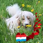 Schuller Nicole - Facebook