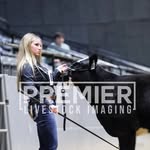 Nicole Scribner - @nscribner - Instagram