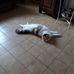 Nicole Seeman - Facebook