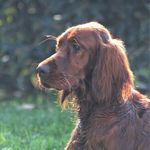 Nicole Bella - @nicole.bella.setter - Instagram