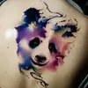 Nicole_Shook - @Nicole_Shook - TikTok