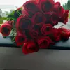 Nicole Sneeden - @nicolesneeden276 - TikTok
