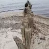 nicolesorge737 - @nicolesorge737 - TikTok