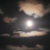 Nicole Stover - @nicole.stover8 - TikTok