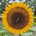 Nicole Stricker - Facebook