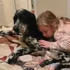 nicolestricker8 - @nicolestricker8 - TikTok