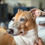 Bridgett Nicole Strobel - @bridgett223 - Instagram