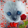 Nicole Strobel - @user529696601 - TikTok