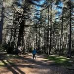 Nicole Suhr - @suhrnicole47 - Instagram