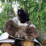 Nicole Suhr - @suhr5978 - Instagram
