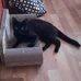 Nicole Suhr - Facebook