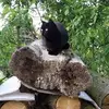 Nicole Suhr - @nicole.suhr0 - TikTok