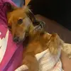 nicoletarleton145 - @nicoletarleton145 - TikTok