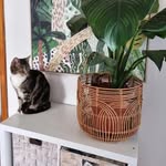Nicole Telfer - @nikki_telfer - Instagram