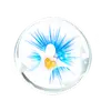Nicole Telfer - @nicole.telfer6 - TikTok
