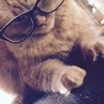 Nicole Theis - @theisnicole - Instagram