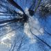 Nicole Theis - Facebook