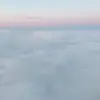 nicoletolbert530 - @nicoletolbert530 - TikTok