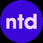 Nicole Tracey - @nicoletraceydesign - Instagram