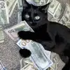 nicole_tryon - @lillian.goodwin4 - TikTok