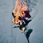 @_nicole._usher_x - Instagram